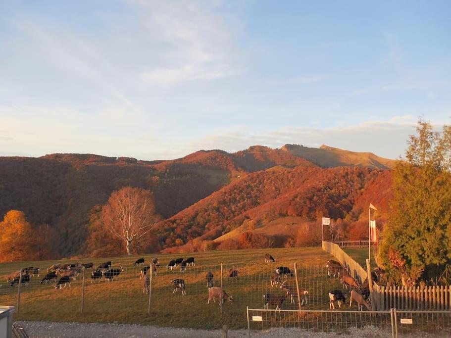On Monte Generoso Apartment *